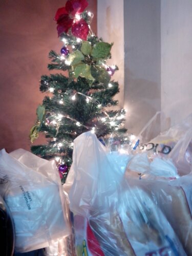 IMG_20121205_222735.jpg image