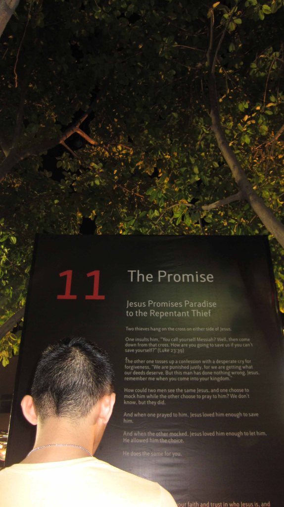 11. The Promise: Jesus Promises Paradise to the Repentant Thief